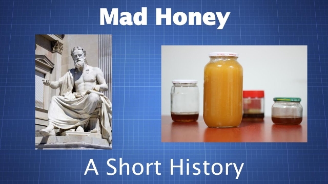 The Sweet and Deadly Elixir: Unveiling the Secrets of Mad Honey