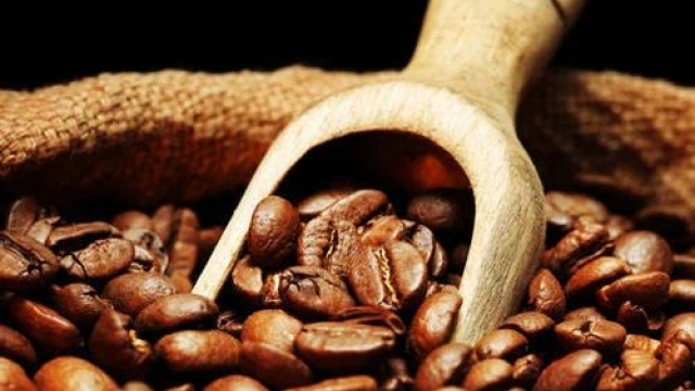 Fueling Your Day the Organic Way: The Magic of Coffee Beans