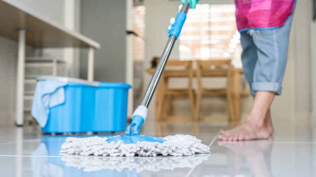 Sparkle and Shine: Unlocking the Secrets of Professional Cleaning Services