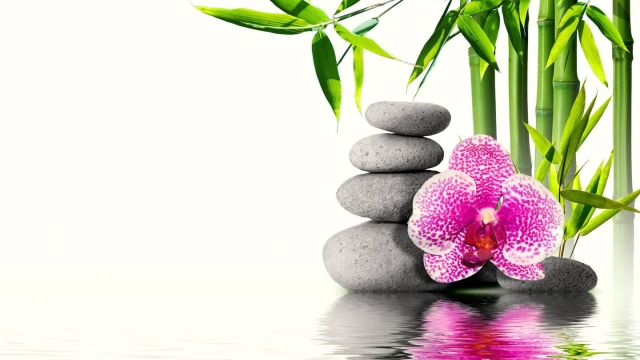 Unwind and Rejuvenate: The Art of Thai and Full Body Massages