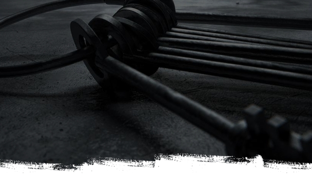 Bail Bonds Through the Eyes of Families: Personal Stories